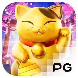 sustainableresponsibleliving: Lucky Neko